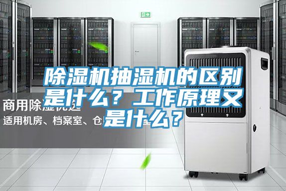 小黄片直播视频抽湿机的区别是什么？工作原理又是什么？