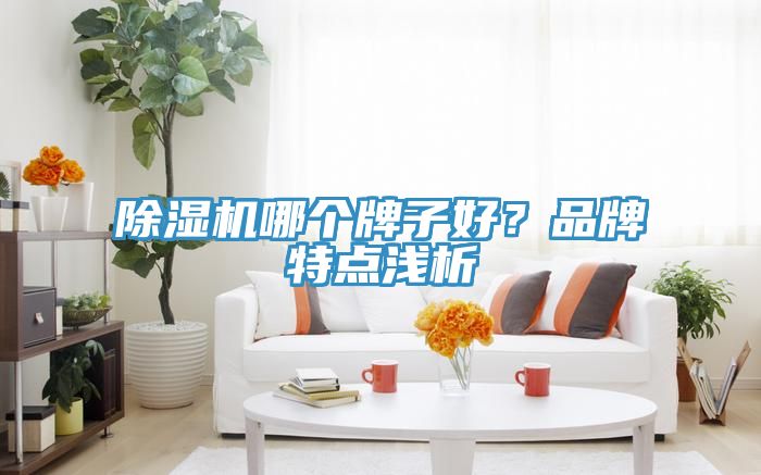 小黄片直播视频哪个牌子好？品牌特点浅析