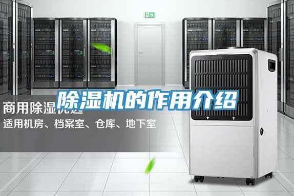 小黄片直播视频的作用介绍
