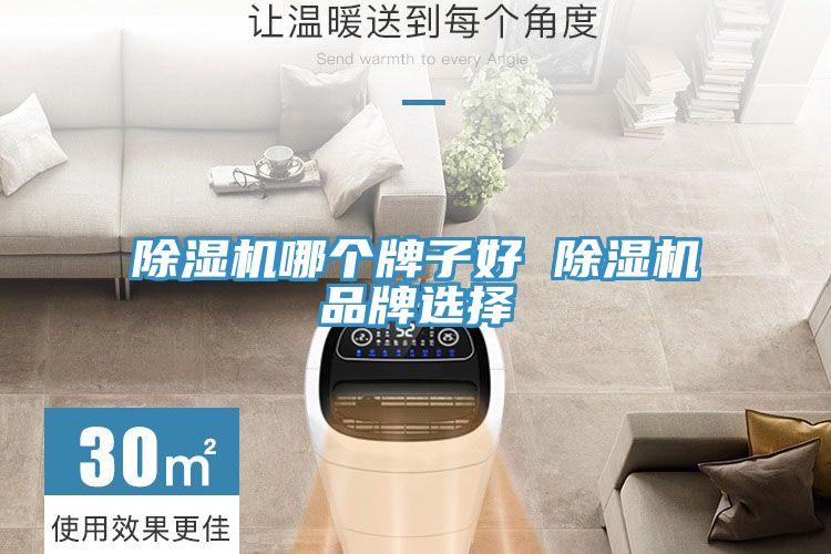 小黄片直播视频哪个牌子好 小黄片直播视频品牌选择