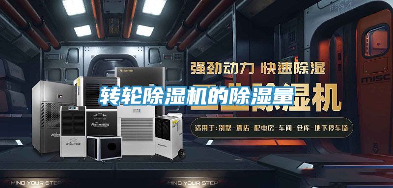 转轮小黄片直播视频的除湿量