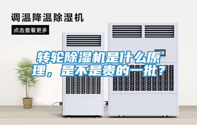 转轮小黄片直播视频是什么原理，是不是贵的一批？