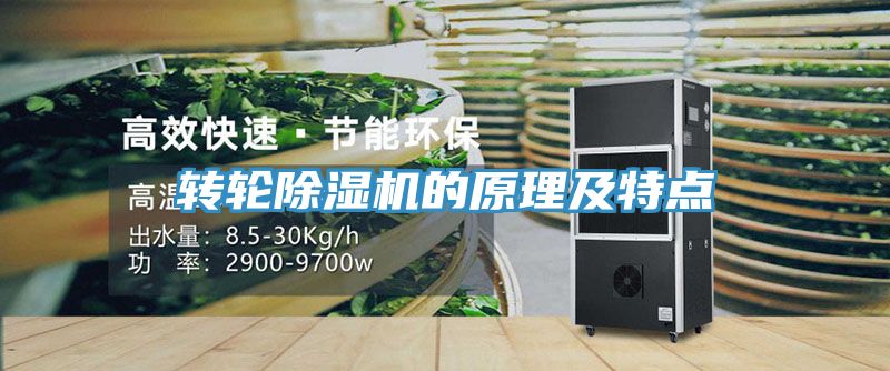 转轮小黄片直播视频的原理及特点
