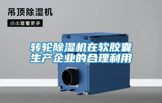 转轮小黄片直播视频在软胶囊生产企业的合理利用