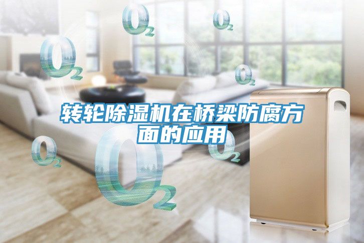 转轮小黄片直播视频在桥梁防腐方面的应用