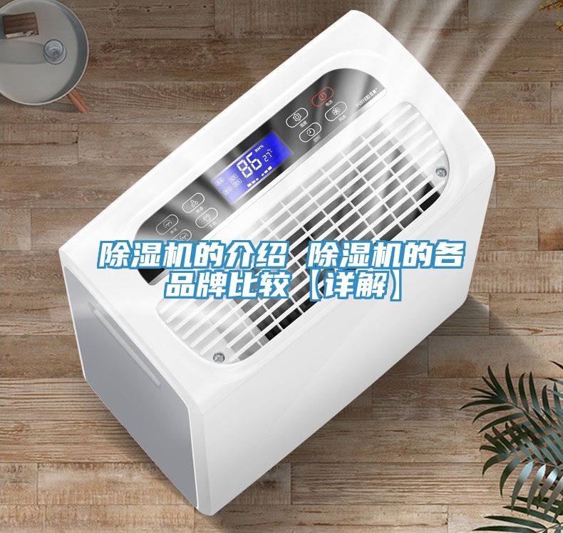 小黄片直播视频的介绍 小黄片直播视频的各品牌比较【详解】