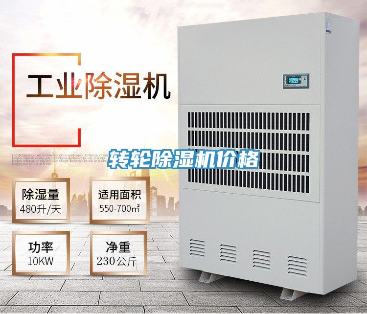 转轮小黄片直播视频价格