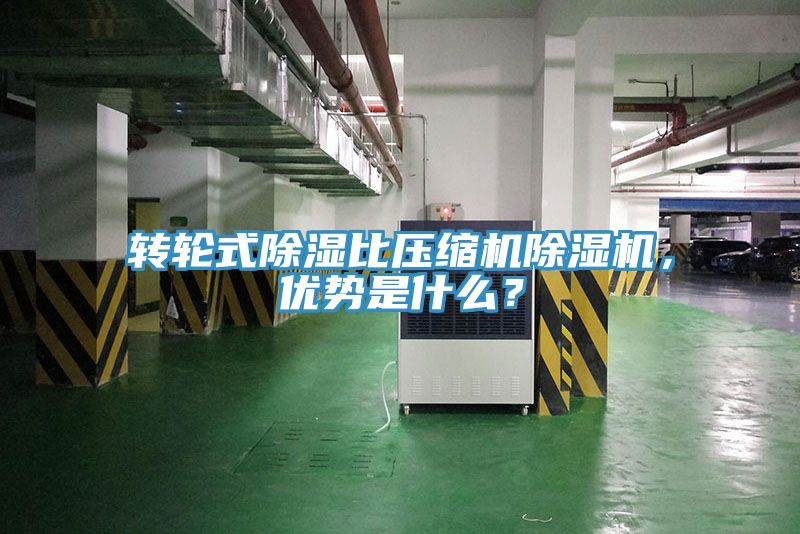 转轮式除湿比压缩机小黄片直播视频，优势是什么？