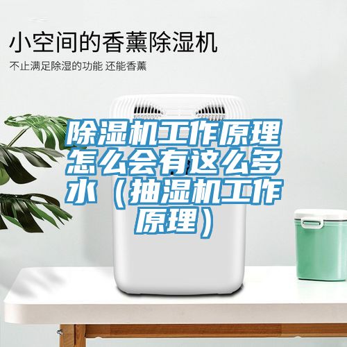 小黄片直播视频工作原理怎么会有这么多水（抽湿机工作原理）