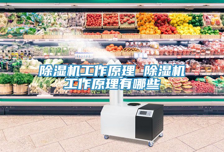 小黄片直播视频工作原理 小黄片直播视频工作原理有哪些