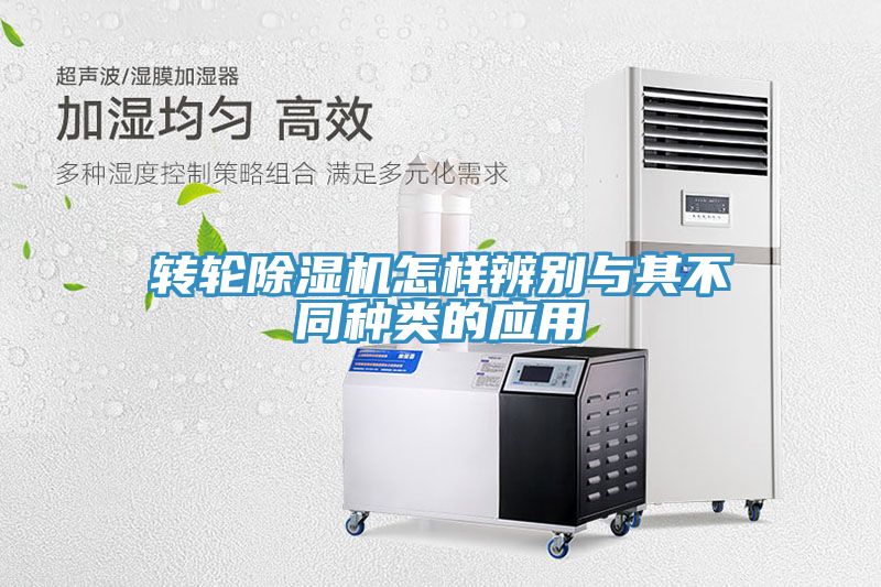 转轮小黄片直播视频怎样辨别与其不同种类的应用