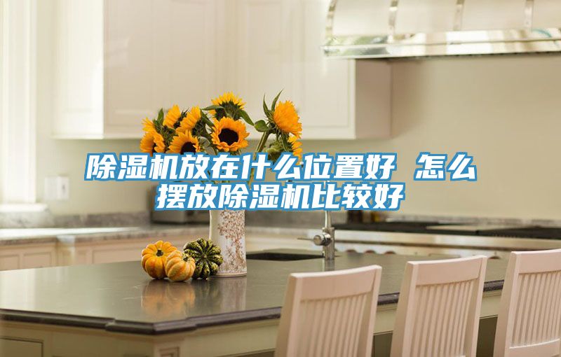 小黄片直播视频放在什么位置好 怎么摆放小黄片直播视频比较好