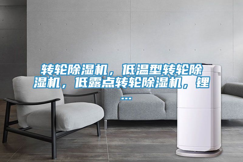 转轮小黄片直播视频，低温型转轮小黄片直播视频，低露点转轮小黄片直播视频，锂 ...