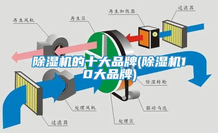 小黄片直播视频的十大品牌(小黄片直播视频10大品牌)