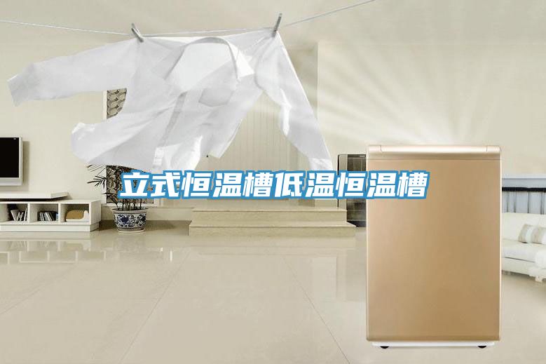 立式恒温槽低温恒温槽