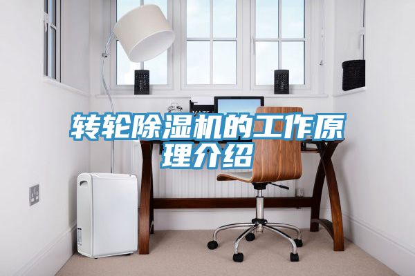转轮小黄片直播视频的工作原理介绍