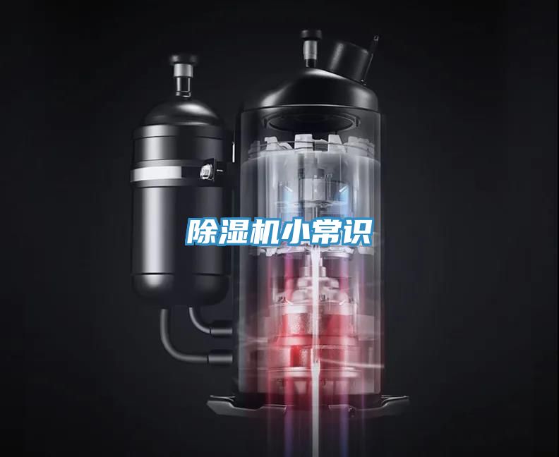 小黄片直播视频小常识