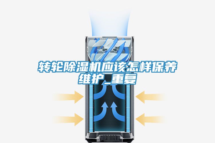 转轮小黄片直播视频应该怎样保养维护_重复