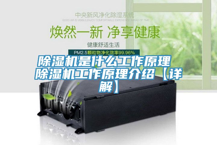 小黄片直播视频是什么工作原理 小黄片直播视频工作原理介绍【详解】
