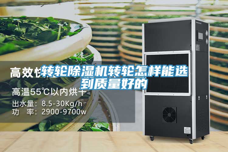 转轮小黄片直播视频转轮怎样能选到质量好的