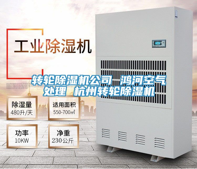 转轮小黄片直播视频公司 鸿河空气处理 杭州转轮小黄片直播视频