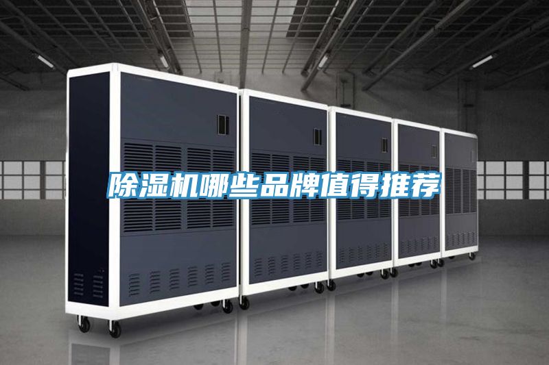 小黄片直播视频哪些品牌值得推荐