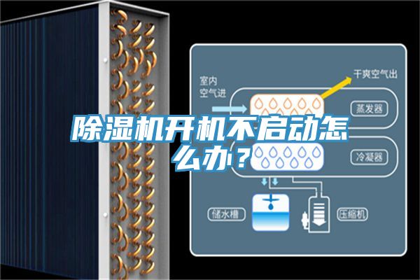 小黄片直播视频开机不启动怎么办？