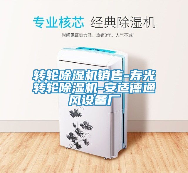 转轮小黄片直播视频销售-寿光转轮小黄片直播视频-安适德通风设备厂