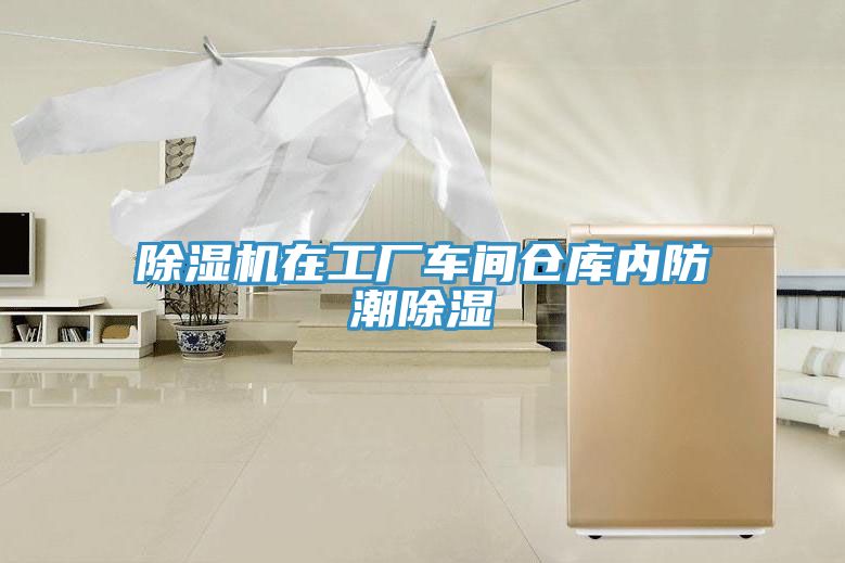 小黄片直播视频在工厂车间仓库内防潮除湿