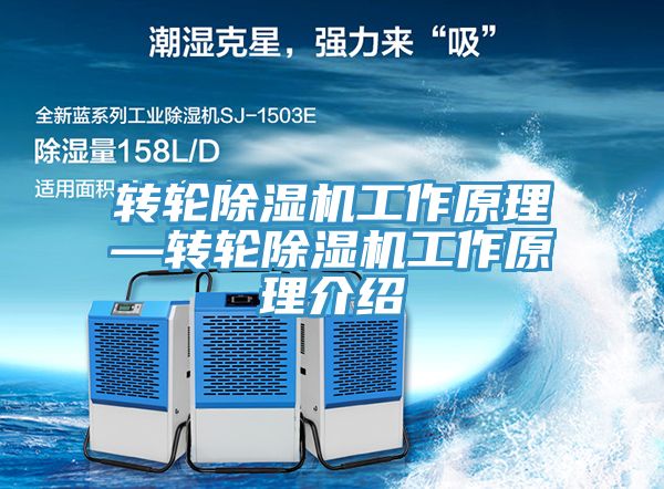 转轮小黄片直播视频工作原理—转轮小黄片直播视频工作原理介绍