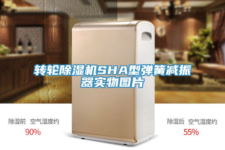 转轮小黄片直播视频SHA型弹簧减振器实物图片