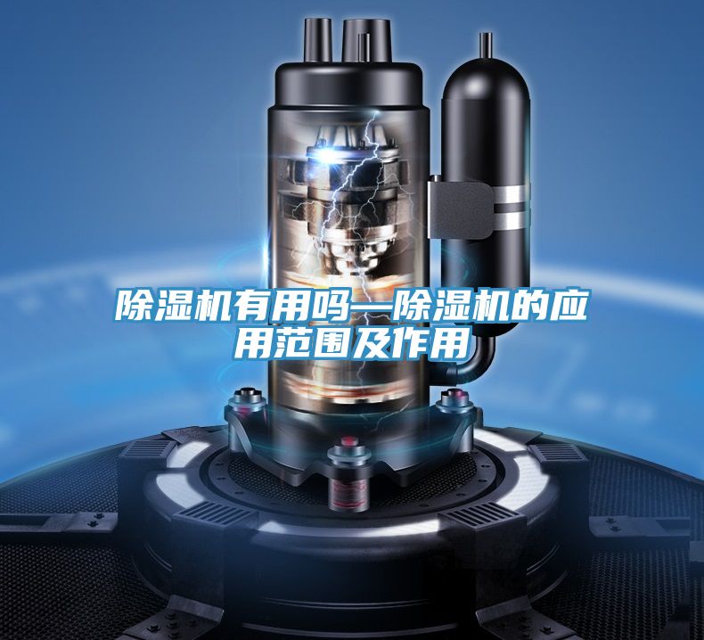 小黄片直播视频有用吗—小黄片直播视频的应用范围及作用