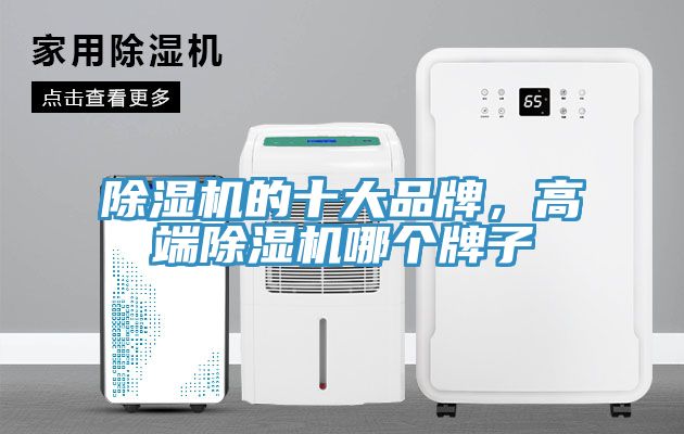 小黄片直播视频的十大品牌，高端小黄片直播视频哪个牌子