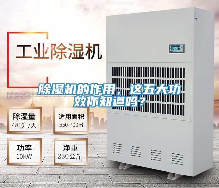 小黄片直播视频的作用，这五大功效你知道吗？