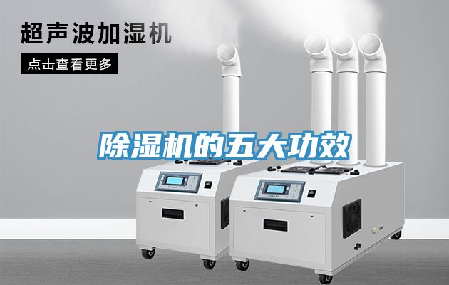 小黄片直播视频的五大功效