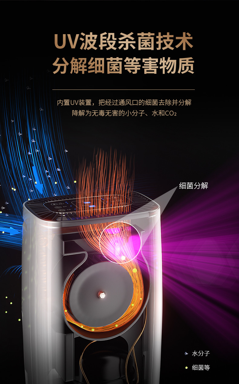 家用小黄片直播视频11